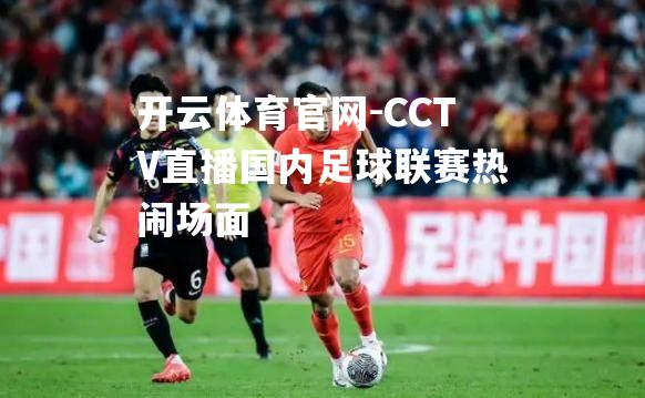 CCTV直播国内足球联赛热闹场面