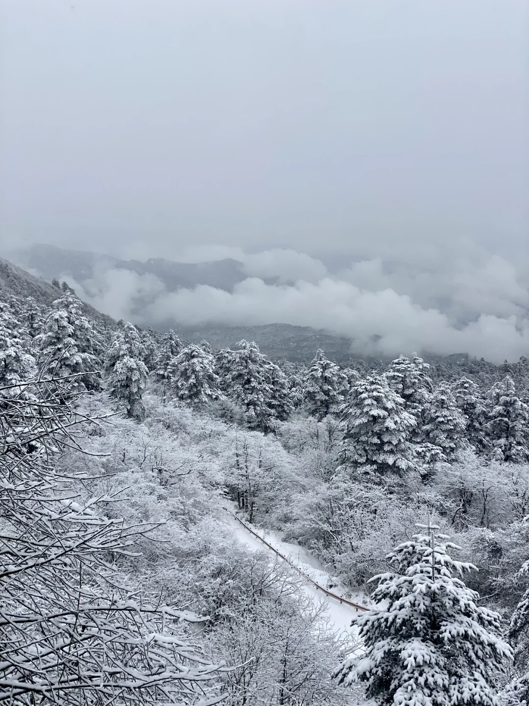 尼斯主场逼平雪山，保持不败